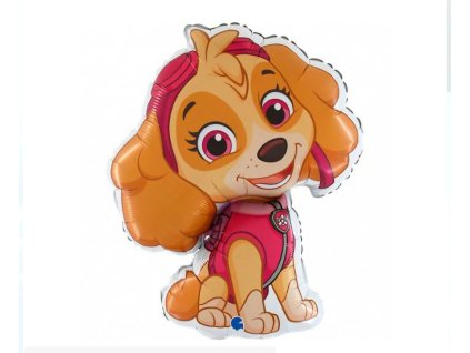 Fóliový́ balón Paw Patrol Sky, 81 cm