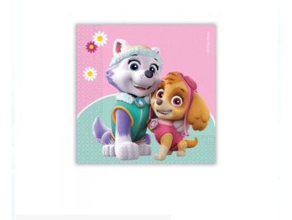 Papierové servítky Paw Patrol Sky a Everest