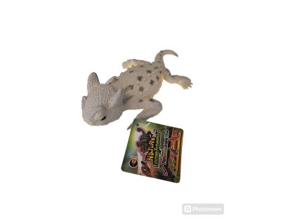 Šedá jašterička, 3,95 EUR s DPH