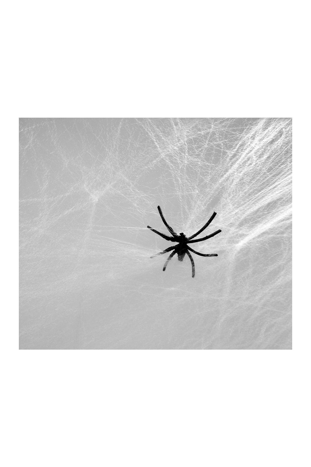 Pavučina bílá s pavoukem