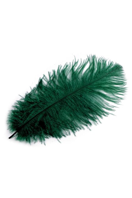Pštrosí peří 25 cm - zelené