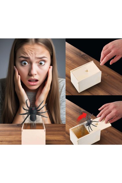 Prank - Vyskakovací pavouk v krabičce