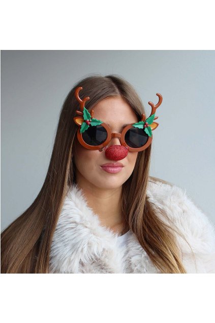 Vánoční brýle - sob s nosem