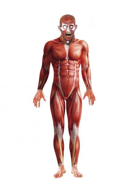 Anatomy morphsuite -  druhá kůže