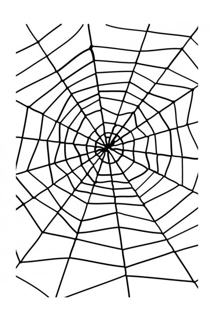Pavoučí síť