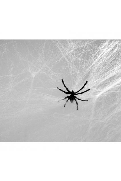 Pavučina bílá s pavoukem