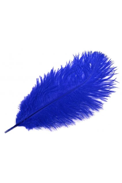 Pštrosí peří 25 cm - modré