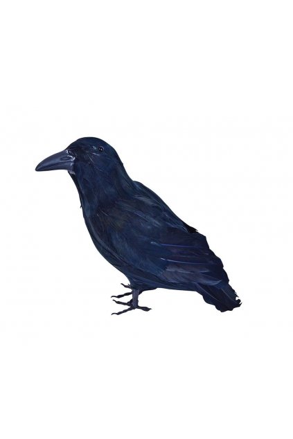 Havran Rumburak - vrána 30cm
