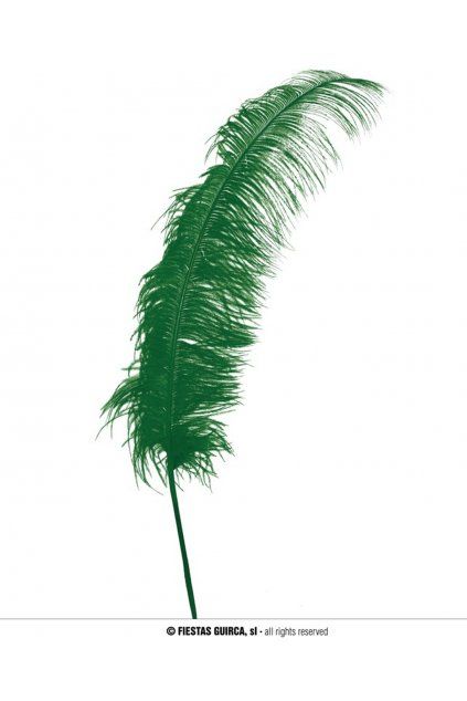 Zelené pštrosí peří - brko 55cm
