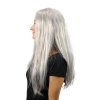 Dámská paruka čarodějnice stříbrná