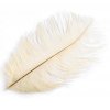 Pštrosí peří 25 cm - bílé krémové