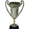 Trofej - Pohár pro vítěze 20 cm