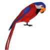 Pirástký papoušek na rameno - 36cm