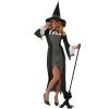 Čarodějnice dámský kostým