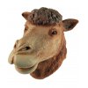 Maska velblouda - Camel