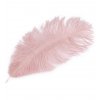 Pštrosí peří 25 cm - světle růžová