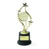 Trofej pro vítěze - pohár
