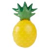 Nafukovací ananas