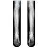 skelet