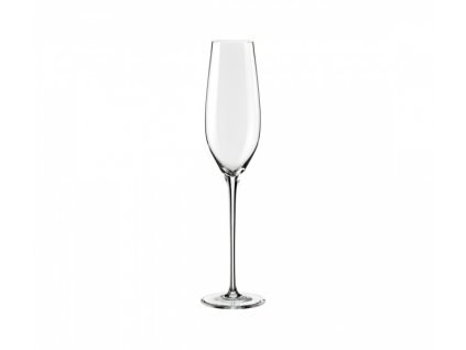 6x CELEBRATION champagne glass 210ml