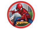 Spiderman ( Pavoučí muž )