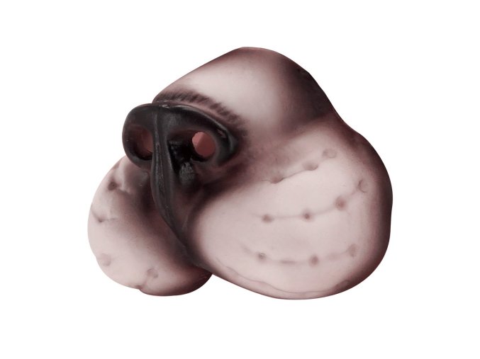 Nos Kočka