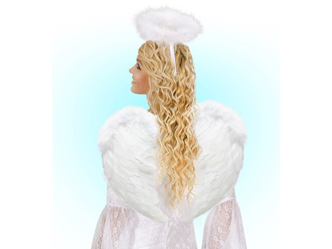 Křídla anděl 50x40cm