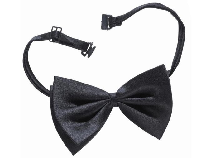 Pánský motýlek černý