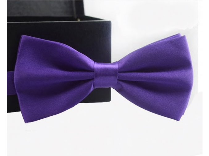 Elegantní motýlek fialový