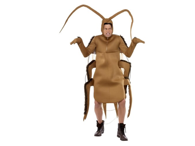 Kostým Šváb