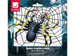 Pavoučí síť s pavoukem