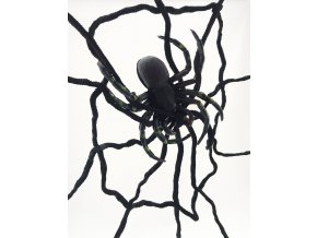 Pavoučí síť s pavoukem