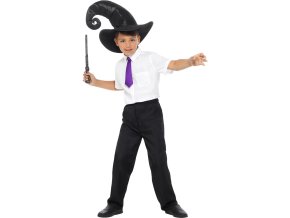 Kouzelnická hůlka Harry