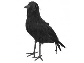 Černá vrána dekorace