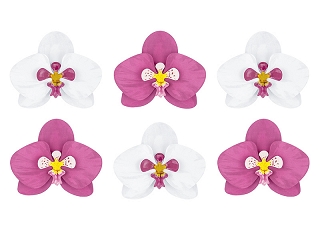 Havajská dekorace Orchidej (6ks)