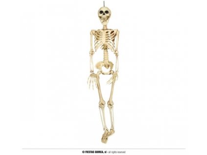 SKELETON - KOSTRA - kostlivec k zavěšení 90 cm- Halloween