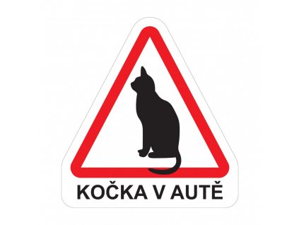 magnet kocka v aute