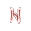 FB2M N 019R 01 S
