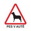 magnet pes v aute