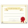 dětský diplom A4 DIP04-014 5300914