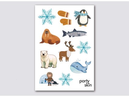 43 severní pól (4)