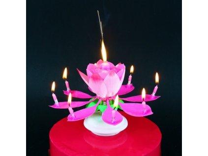 Dortová svíčka hrající s fontánou růžová