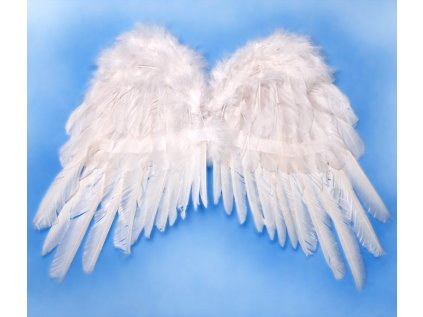 Andělská křídla bílá, 53 x 37 cm