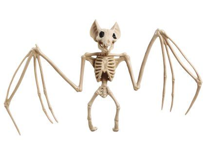 Halloweenská dekorace Kostra netopýra