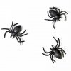 Pavouci černí, 10 ks