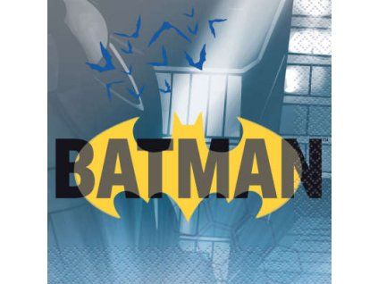 12953 12953 servitky batman 16ks 35467