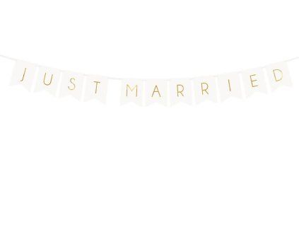 7916 banner just married biely 14534