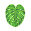servitky aloha palmovy list 10ks 16x14cm 51625