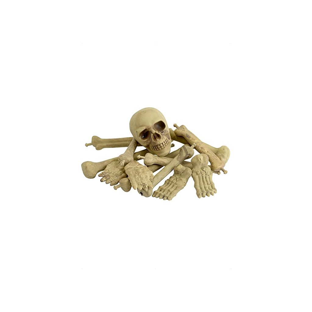 Sada kostlivec - lebka a kosti