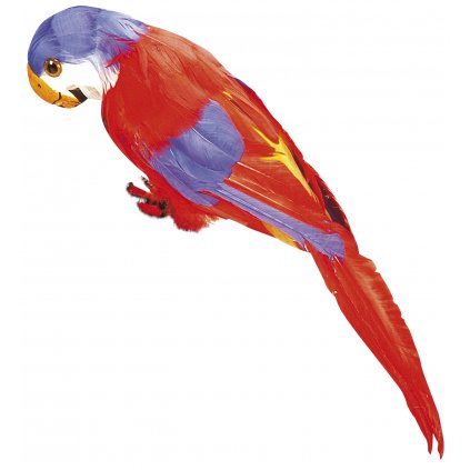 Pirátský papoušek červený